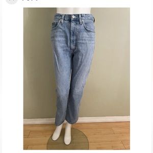 AGOLDE Pinch Waist High Rise Straight Jeans